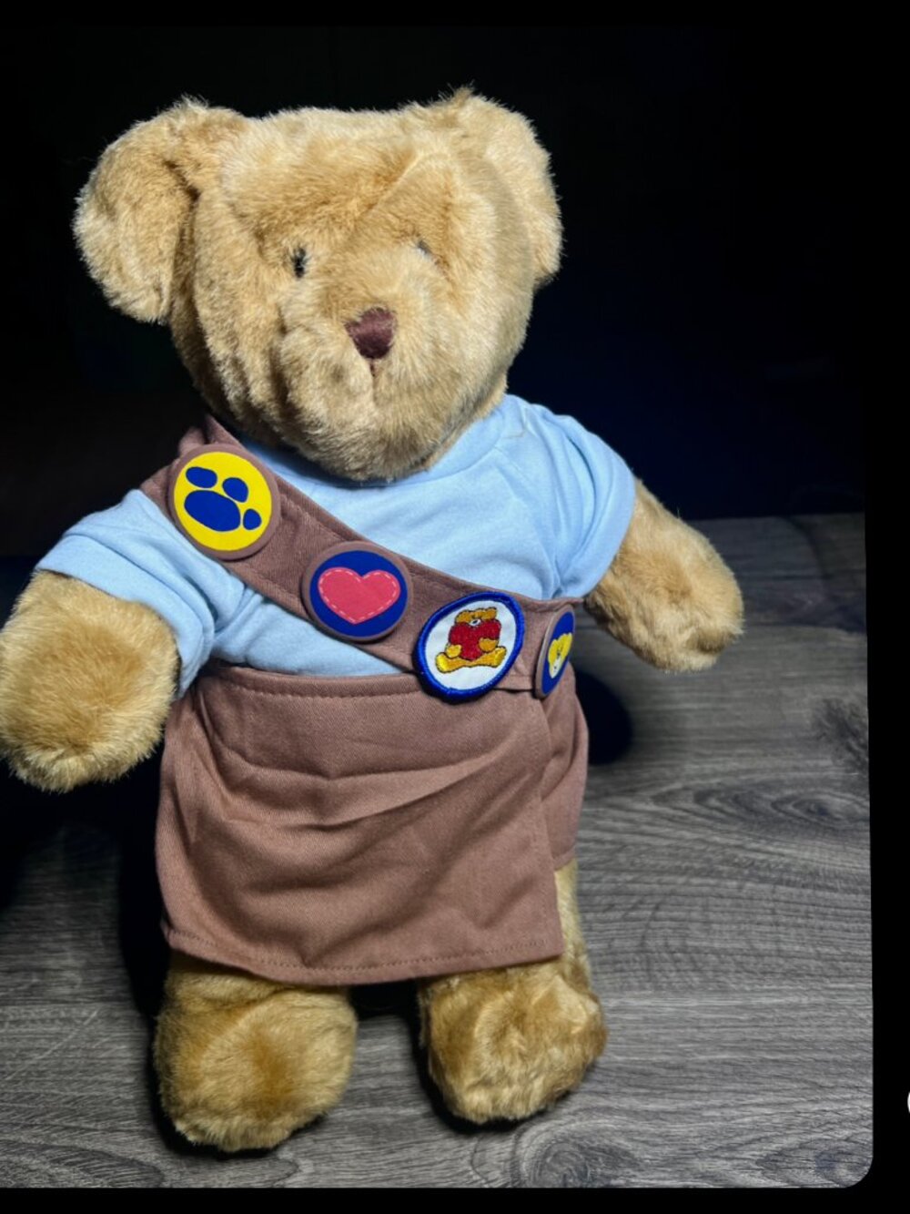Build A Bear Workshop Girl Scout Junior Green Brownie Brown Skirt Sash Patch BAB